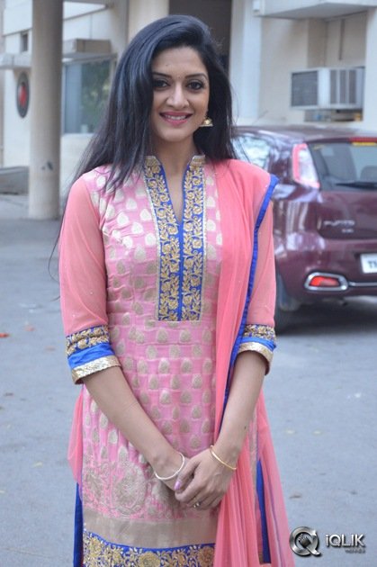 Vimala-Raman-At-Om-Namo-Venkatesaya-Movie-Press-Meet